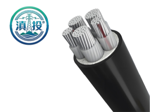 云南電纜廠+昆明電纜廠雙立足！滇投® 務(wù)實(shí)深耕本地輻射周邊